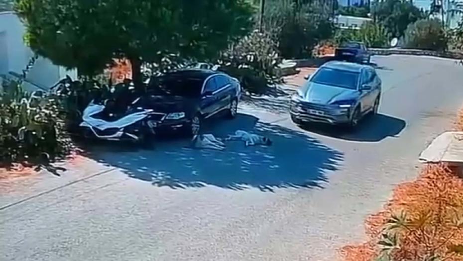 Bodrum'da Sürpriz ve Üzücü Gelişme: Otomobil İki Köpeğin Üzerinden Geçti
