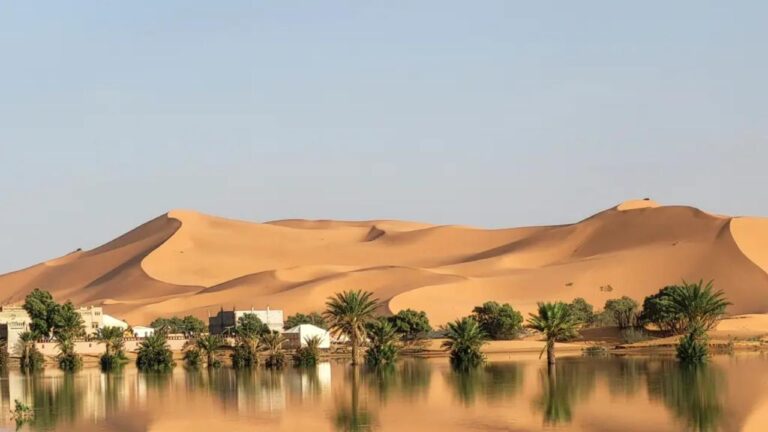 Sahra Çölü'nde sel: 50 yıldır kuru kalan göl doldu