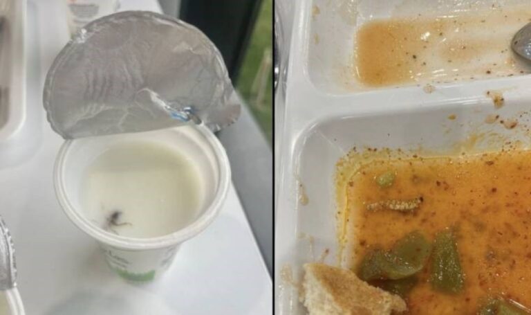 Marmara Üniversitesi kantininde böceklerin olduğu iddia edildi – Son Dakika Türkiye, Eğitim Haberleri